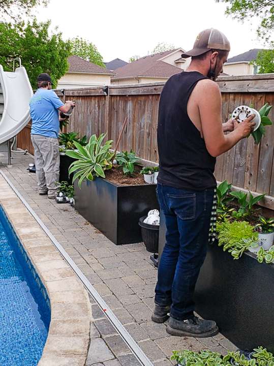 Custom Planter Vacancies Lacoste Garden Centre Winnipeg